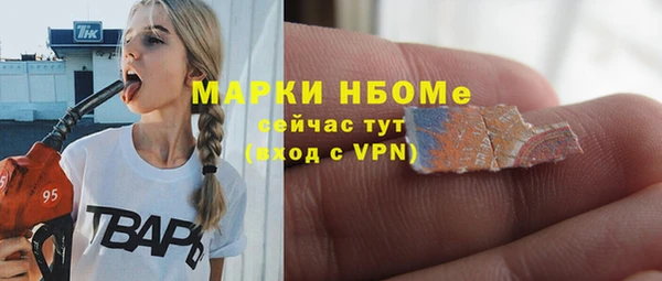 винт Алзамай