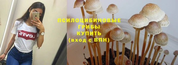 спиды Пересвет