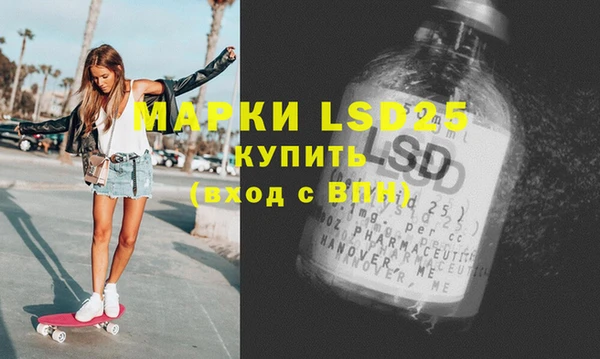 шишки Абинск